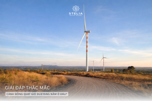 1. Cánh đồng quạt gió Dlieyang nằm ở đâu