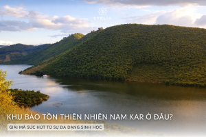 1. Khu Bảo Tồn Thiên Nhiên Nam Kar Ở Đâu