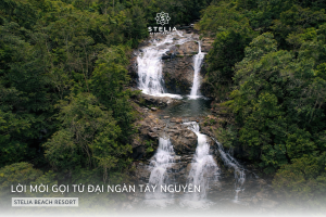 1. Lời mời gọi từ đại ngàn Tây Nguyên