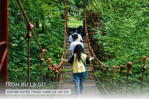 1. Troh Bư là gì_ Giải mã huyền thoại _Lũng Cá Lóc Đá