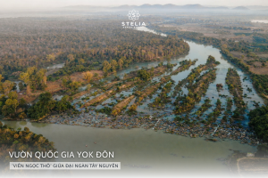 1. Vườn Quốc Gia Yok Đôn_ _Viên Ngọc Thô_ Giữa Đại Ngàn Tây Nguyên