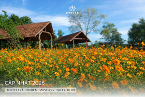 2. Top 03 Trải Nghiệm _Must-Try_ Tại Troh Bư (Cập Nhật 2026)