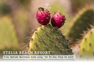 Trải Nghiệm Wellness Giữa Lòng "Xứ Sở Hoa Vàng Cỏ Xanh"