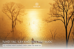 3. Hồ Nam Kar – Tuyệt Tác _Cây Khô Trên Mặt Nước