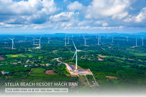 3. Thời điểm vàng và Bí kíp _Săn ảnh_ triệu like