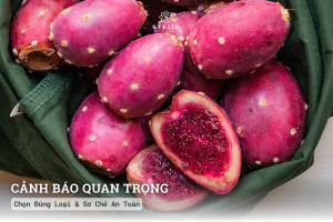 Cảnh Báo Quan Trọng: Chọn Đúng Loại & Sơ Chế An Toàn
