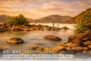 "Góc máy thượng lưu" – Kinh nghiệm Check-in không thể bỏ lỡ!