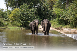 4. Cẩm nang thượng lưu_ Hướng dẫn di chuyển & Lưu ý chuyên sâu