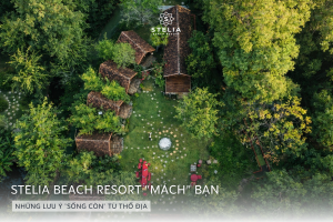 4. Những Lưu Ý _Sống Còn_ Từ Thổ Địa