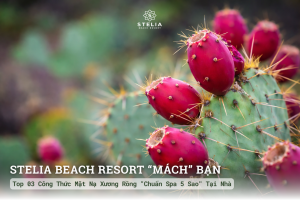 Top 03 Công Thức Mặt Nạ Xương Rồng "Chuẩn Spa 5 Sao" Tại Nhà