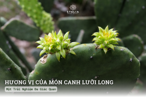 Hương Vị Của Món Canh Lưỡi Long: Một Trải Nghiệm Đa Giác Quan