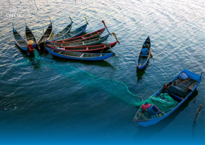 5. Đầm Ô Loan & Cầu Ông Cọp (Văn Hóa Ẩm Thực và Kiến Trúc Mộc Mạc)