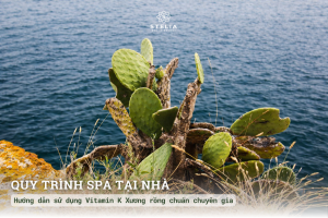 Quy trình "Spa tại nhà": Hướng dẫn sử dụng Vitamin K Xương rồng chuẩn chuyên gia