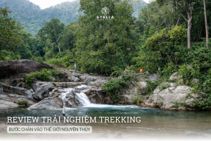 Review trải nghiệm Trekking: Bước chân vào thế giới nguyên thủy