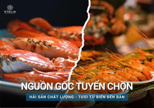 Nguồn gốc tuyển chọn - Hải sản chất lượng tươi từ biển đến bàn