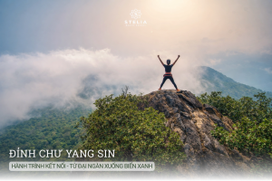 Hành trình kết nối - Từ đại ngàn xuống biển xanh