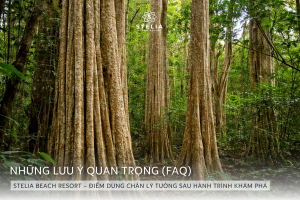 7. Những Lưu Ý Quan Trọng Cho Chuyến Đi Hoàn Hảo (FAQ)