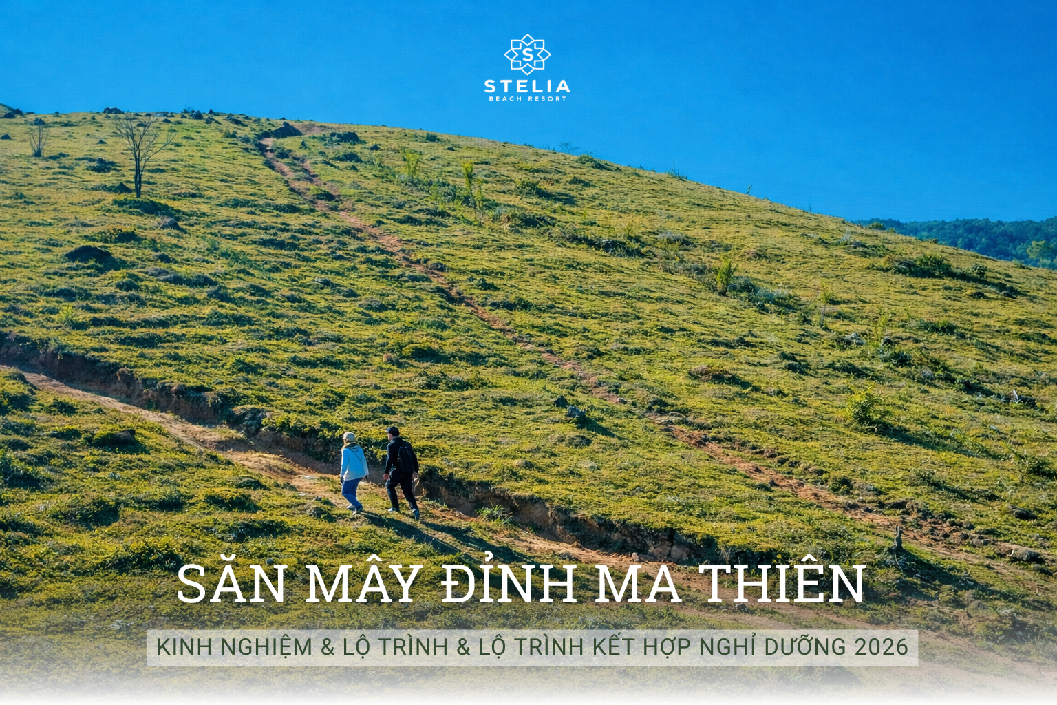 Kinh Nghiệm Săn Mây Đỉnh Ma Thiên (Đắk Lắk) & Lộ Trình "Lên Rừng Xuống Biển" Kết Hợp Nghỉ Dưỡng 2026