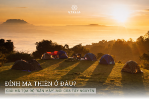 Đỉnh Ma Thiên Ở Đâu? Giải Mã Tọa Độ "Săn Mây" Mới Của Tây Nguyên