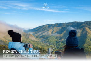Review Chân Thực: Một Đêm Giữa Đại Ngàn & Biển Mây Huyền Ảo