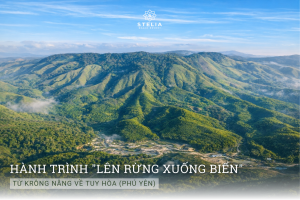 Hành Trình "Lên Rừng Xuống Biển": Từ Krông Năng Về Tuy Hòa (Phú Yên)