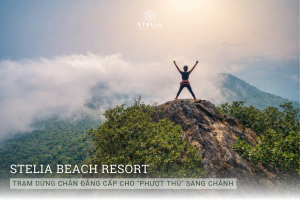 Gợi Ý Lịch Trình 2 Ngày 1 Đêm: Săn Mây & Nghỉ Dưỡng 