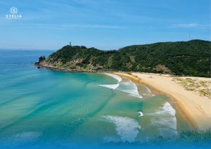 8. Vịnh Vũng Rô & Đèo Cả (Cung Đường Biển Hùng Vĩ)