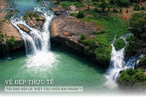 2. Vẻ đẹp thực tế: Tại sao gọi là "Kiệt tác giữa đại ngàn"?