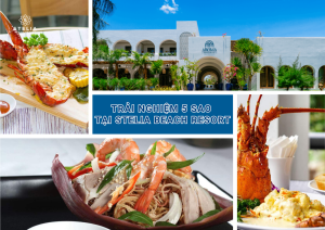 Trải Nghiệm Hải Sản Đẳng Cấp Tại Stelia Beach Resort