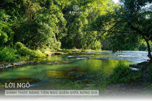 1. Lời ngỏ: Đánh thức nàng tiên ngủ quên giữa rừng già