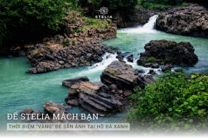 3. Thời điểm "Vàng" để săn ảnh tại Hồ Đá Xanh