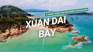 A Handy Guide for Exploring the Blue Sea cam dai bay