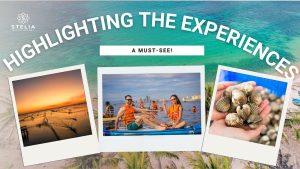 A must-see! xuan dai bay