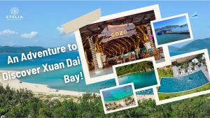 An Adventure to Discover Xuan Dai Bay!