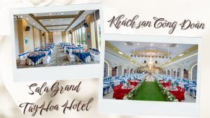 Các Lựa Chọn Khác Đáng Cân Nhắc (Khách sạn Công Đoàn, Sala Grand TuyHoa Hotel)
