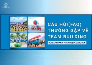 Câu Hỏi Thường Gặp (FAQ) về Dịch Vụ Team Building tại Stelia