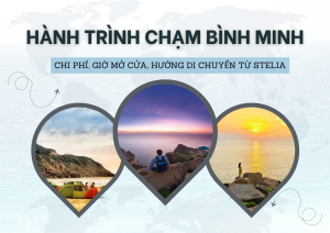 Chi Phí, Giờ Mở Cửa & Hướng Dẫn Di Chuyển Từ Stelia