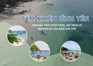 Cù Lao Mái Nhà ở đâu_ _Tấm khiên_ chắn sóng của vùng đất Tuy An