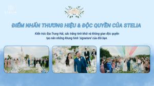 Điểm Nhấn Thương Hiệu & Độc Quyền