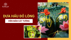 Dưa Hấu Đỏ Lòng – Viên Mãn Cát Tường & Cân Bằng Dinh Dưỡng