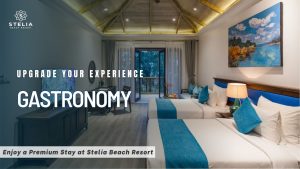 Enjoy a Premium Stay at Stelia Beach Resort