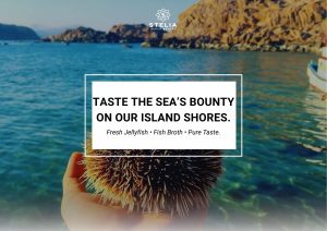 Fresh Jellyfish • Fish Broth • Pure Taste.