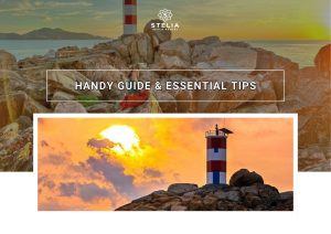 Handy Guide & Essential Tips