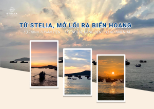 Hành trình di chuyển từ Stelia Beach Resort đến Cù Lao Mái Nhà