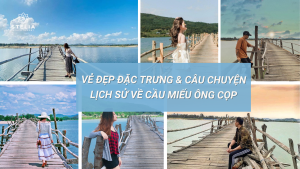 Vẻ Đẹp Đặc Trưng & Câu Chuyện Lịch Sử Về Cầu Miếu Ông Cọp
