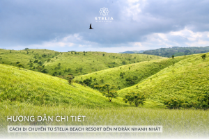 III. Cách di chuyển từ Stelia Beach Resort đến M'Đrăk nhanh nhất