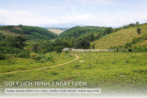 IV. Gợi ý lịch trình 2 ngày 1 đêm_ Sáng ngắm biển Tuy Hòa, chiều cưỡi ngựa thảo nguyên 