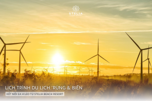 Kết nối Ea H'leo - Stelia Beach Resort