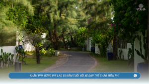 Khám Phá Rừng Phi Lao 50 Năm Tuổi với Xe Đạp Thể Thao Miễn Phí