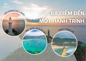 Khám Phá Trọn Vẹn Cụm Danh Thắng_ Hải Đăng, Bãi Môn và Vịnh Vũng Rô